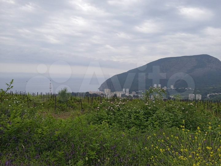 Участок 25,5 сот. (ИЖС)