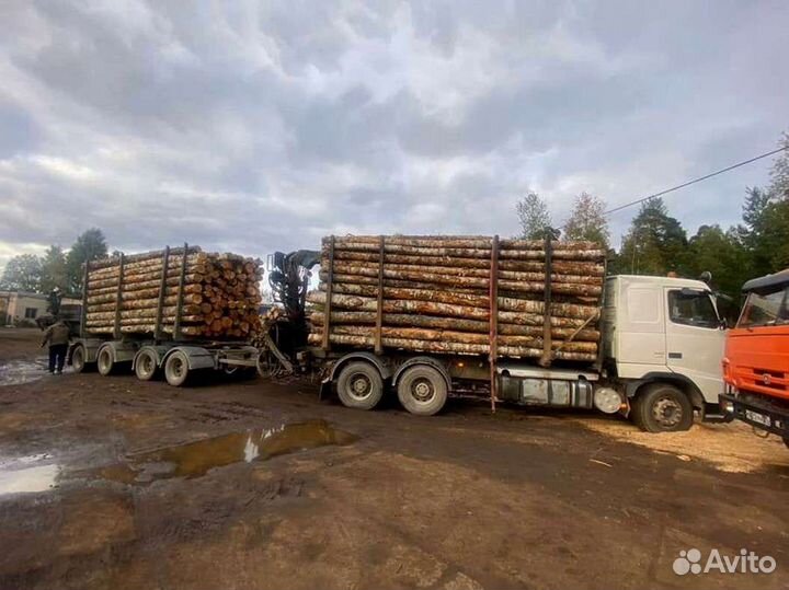 Дрова от производителя