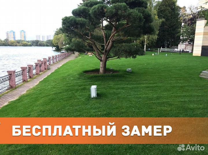 Рулонный газон с бесплатным замером