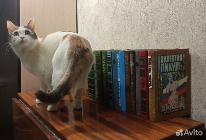 Бесценные книжечки