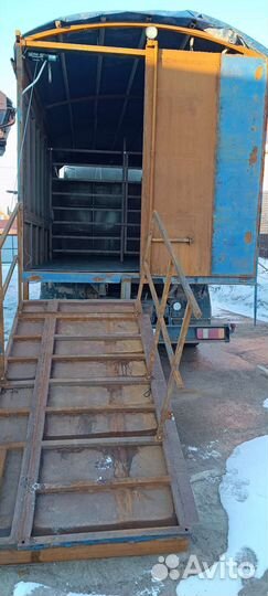 Грузоперевозки, услуги скотовоза, зерновоза