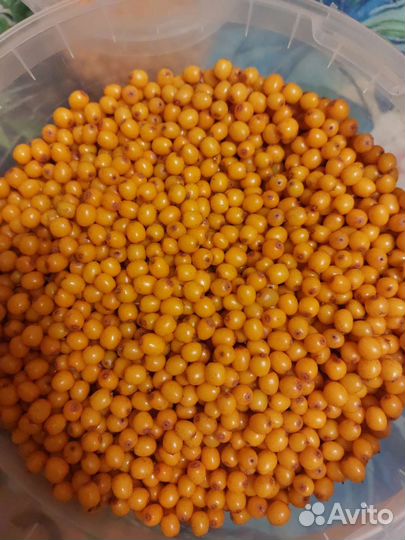 Облепиха и брусника