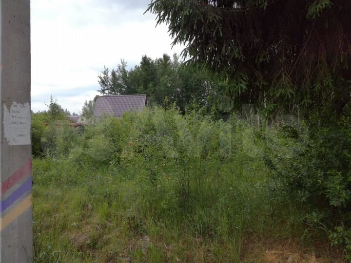 Участок 9 сот. (СНТ, ДНП)