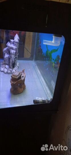Аквариум