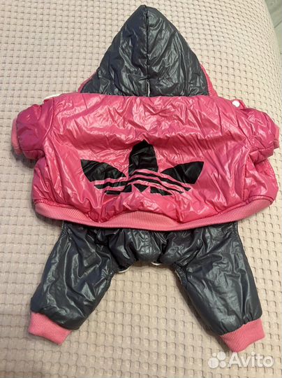 Комбинезон доя собаки зимний