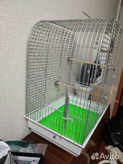 Клетки для попугая