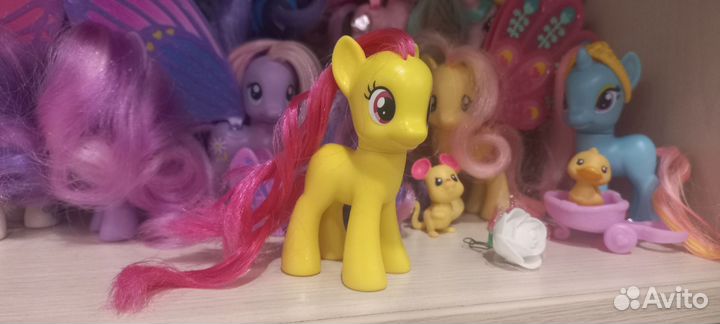 My little pony