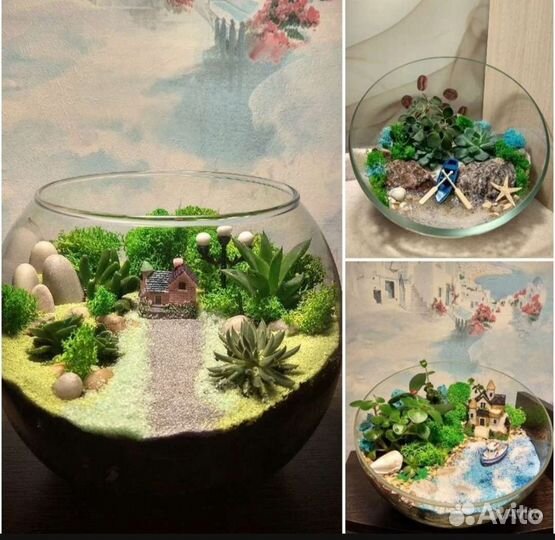 Необычный подарок на день рождения, мини сад