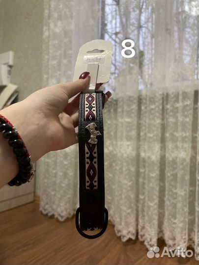 Амуниция для собак