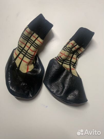 Носки для собак