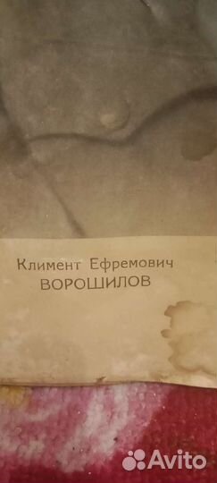 Портрет
