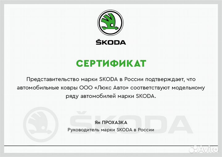 3D Коврики Skoda Салон Багажник Экокожа