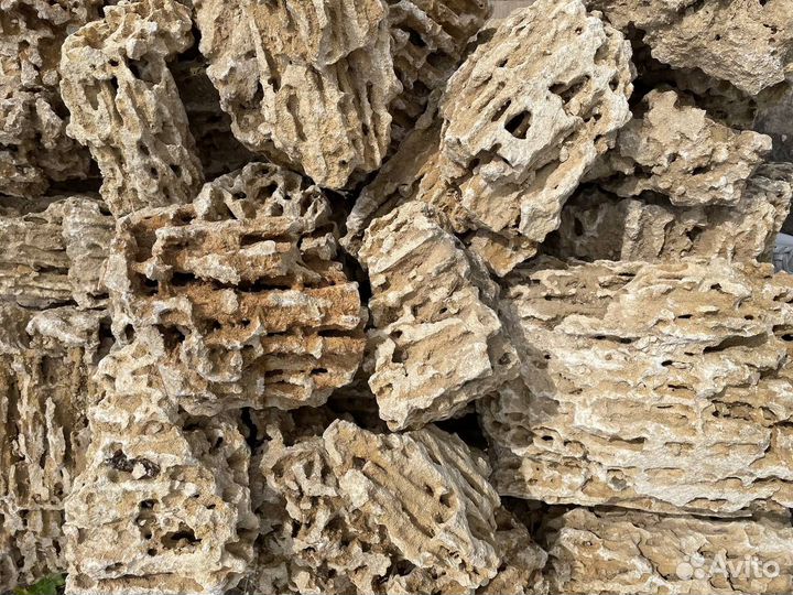 Миотис, Ракушечник, Камень для аквариума