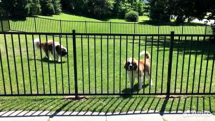 Забор с пиками из профильной трубы