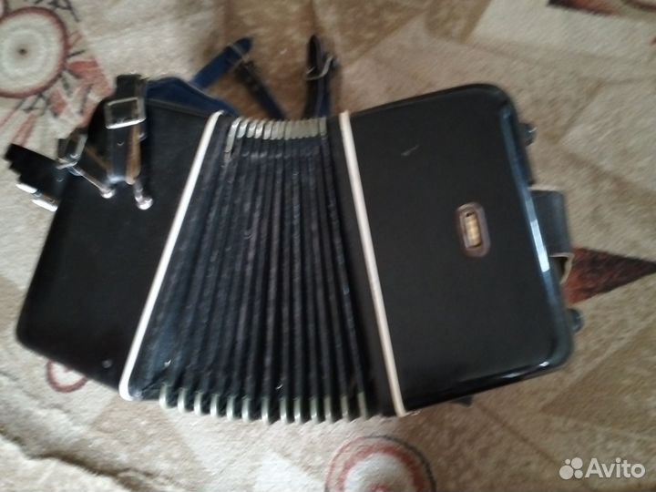 Баян рубин 5