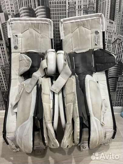 Вратарские щитки bauer