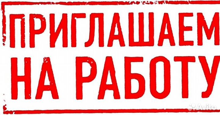 Работа для всех без опыта
