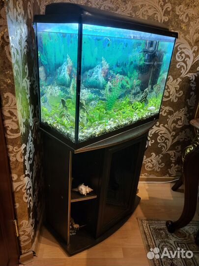 Аквариум