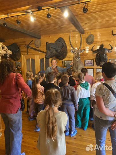 Экскурсия. Выставка- музей 