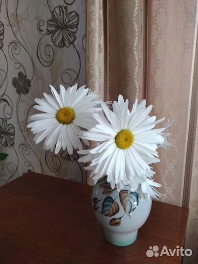 Цветы ромашки