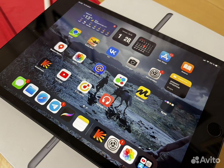 iPad mini 5 256gb cellular