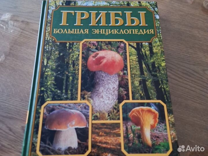Энциклопедия