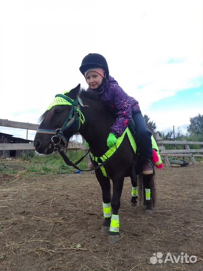 Занятия верховой ездой на пони