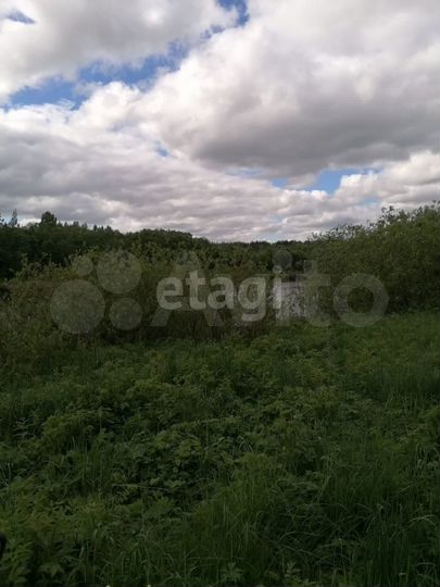 Участок 2,56 га (личное подсобное хозяйство (лпх))