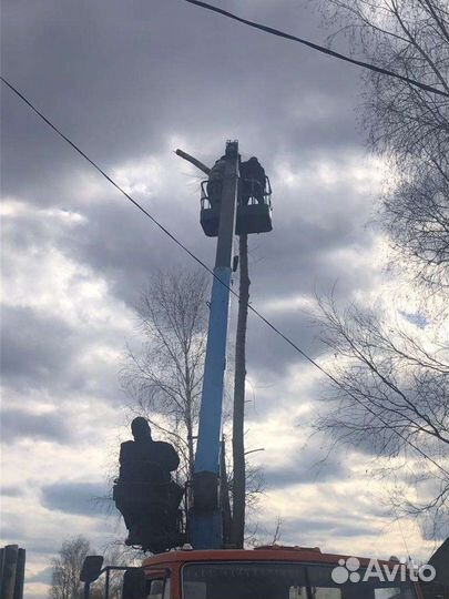 Услуги манипулятора