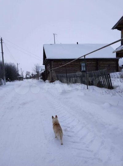 Дом 48 м² на участке 1 сот.