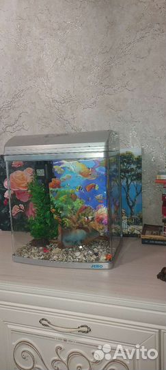 Аквариум
