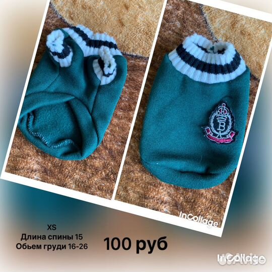 Одежда для животных