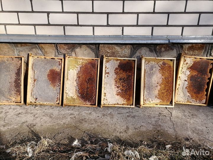 Рамки с сушью