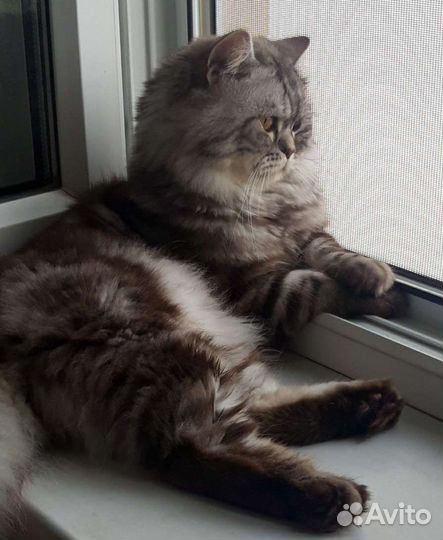 Вязка