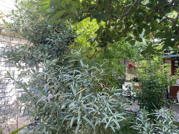 Дом 60 м² на участке 6 сот.