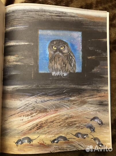 Г. Корольков доверчивая белка 1996 г