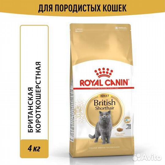 Royal Canin British британцев 4 кг персы брит