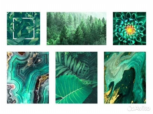 Набор из 6 картин