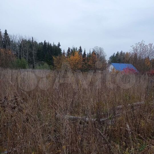 Участок 4 сот. (СНТ, ДНП)