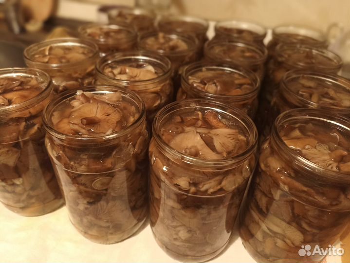 Грибы Опята, Вешенки, Шампиньоны