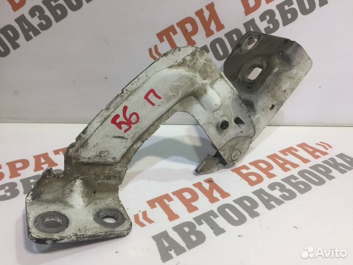 Рено Кангу Петля капота Прав