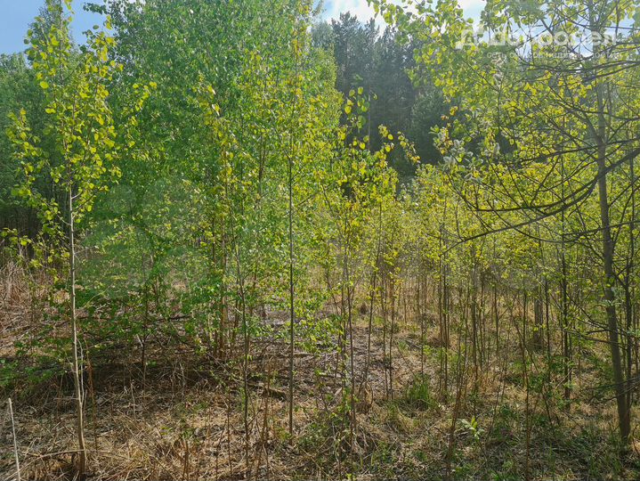 Участок 9,4 сот. (СНТ, ДНП)