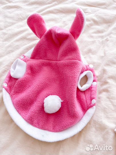 Два костюма для собак