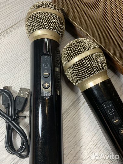 Портативная беспроводная караоке система