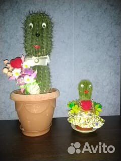 Кактусы