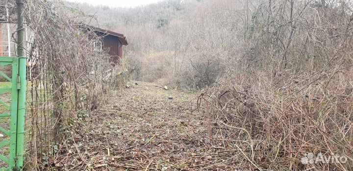 Покос травы, спил деревьев, расчистка участков