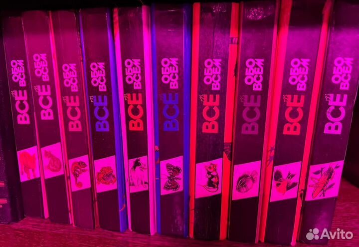 Все обо всем