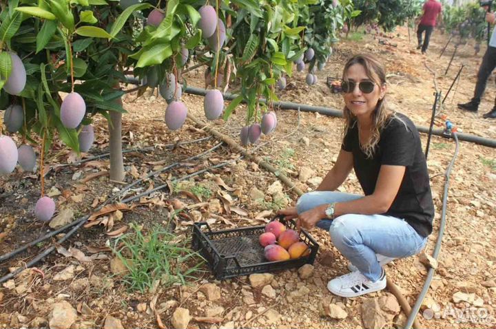 Доход 240'000 в год. Ищу партнера в готовый бизнес