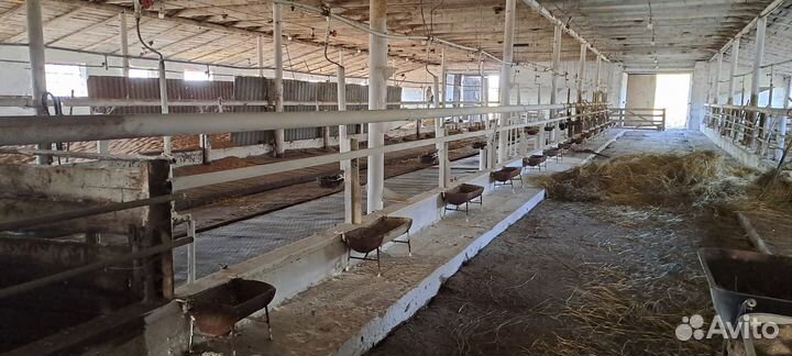 Животноводческая ферма продаю