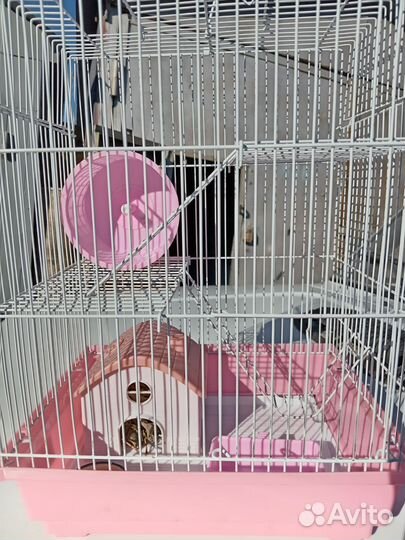 Клетка для грызунов